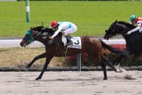 メディチパワー