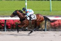 コズミックダンサー