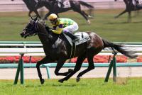 マーゴットブロー