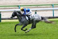 ブランドブラン