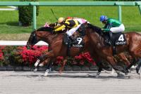 サノノワンダー