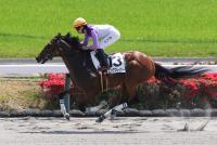 ソニックブレイカー