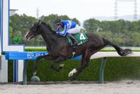 <strong>ムルソー</strong>