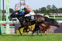 ラブリージャブリー