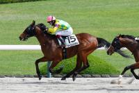 マーゴットバディ