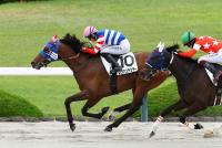 レヴァンテシチー