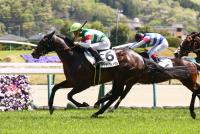 タンテドヴィーヴル