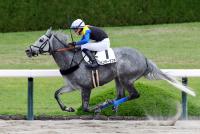 ウィンターダフネ