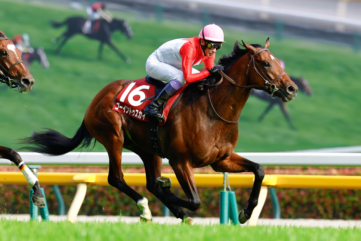 京都２歳Ｓ３着馬ゴーイントゥスカイが10番手から抜け出し、日本ダービーの優先出走権を獲得した