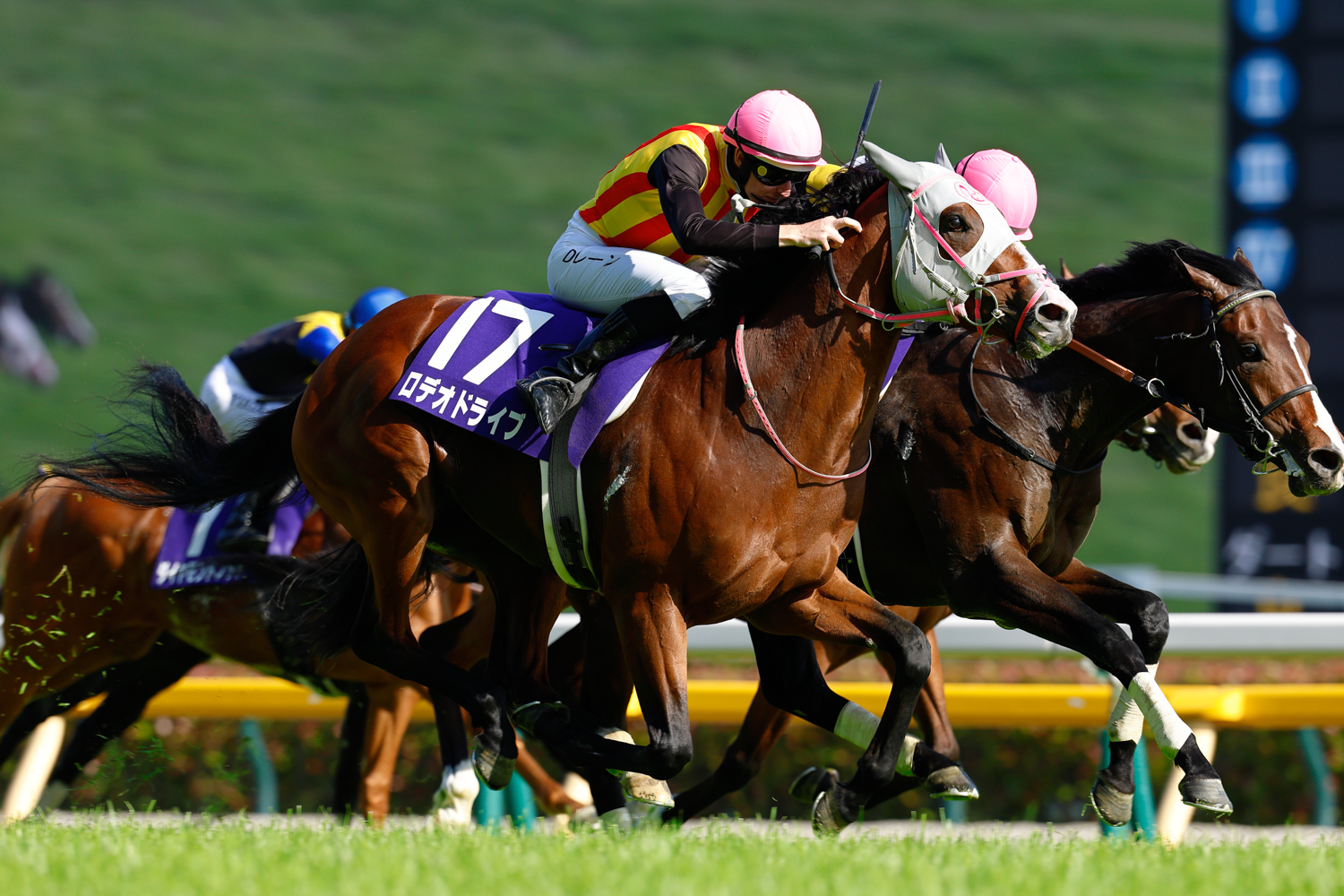 先に抜け出したチャーチルダウンズＣ勝ち馬アスクイキゴミを、ゴール直前、ロデオドライブがハナ差差し切った