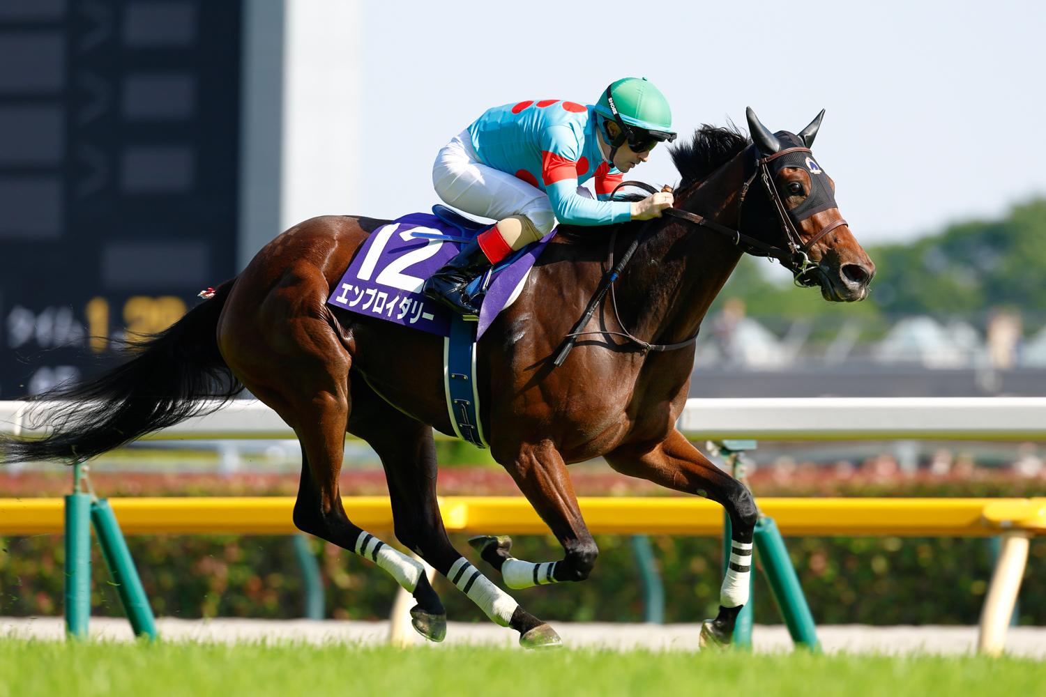 オークス馬カムニャックに１馬身1/4差を付けたエンブロイダリー。鞍上のＣ.ルメール騎手はＪＲＡ ・ＧⅠレース60勝目