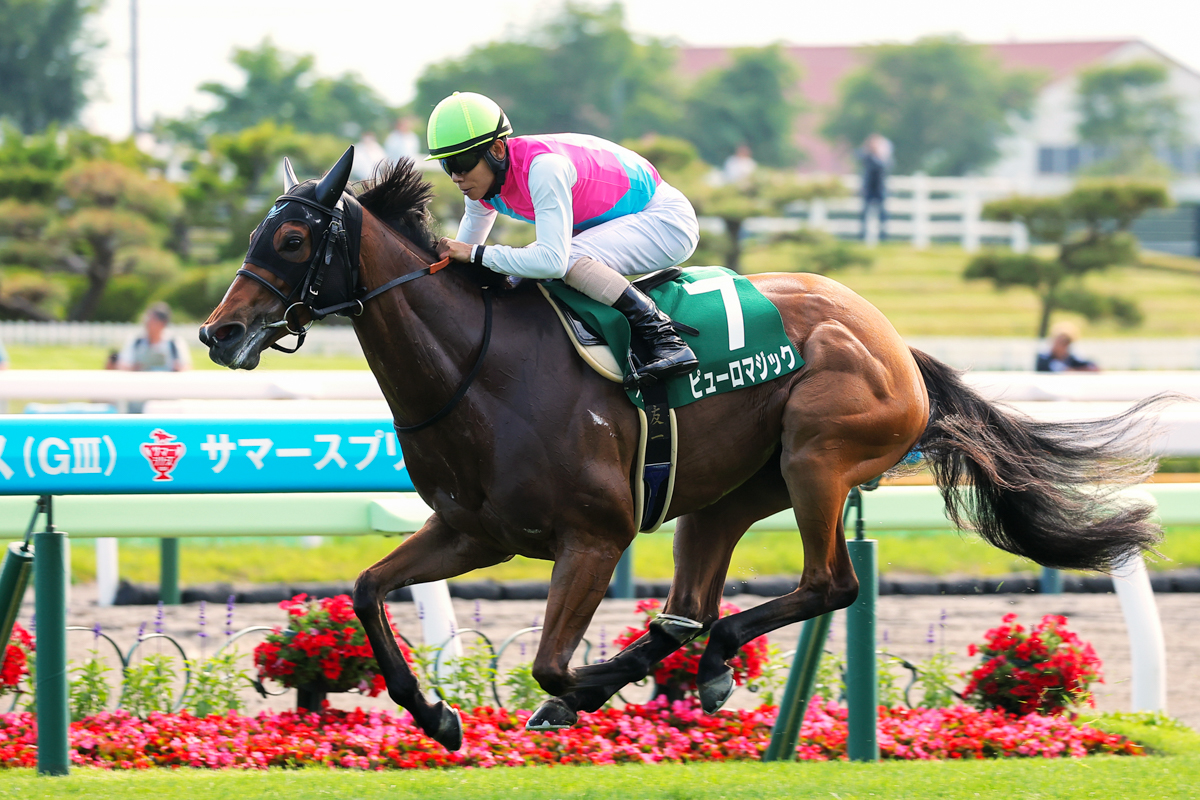 ２着エーティーマクフィに１馬身1/4差を付けて、難なく逃げ切ったピューロマジック