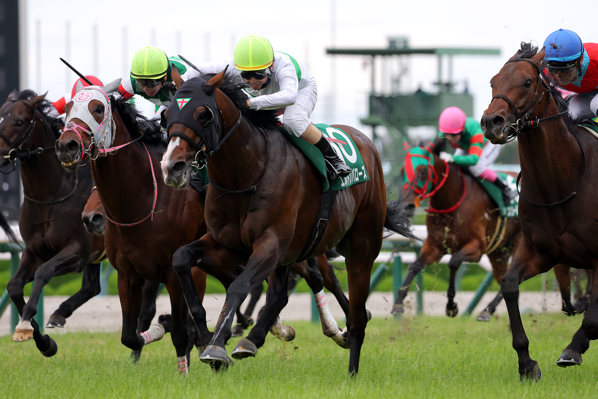 内外大きく離れて大接戦となったが、エルトンバローズが連覇を狙うキープカルムを半馬身差抑えた