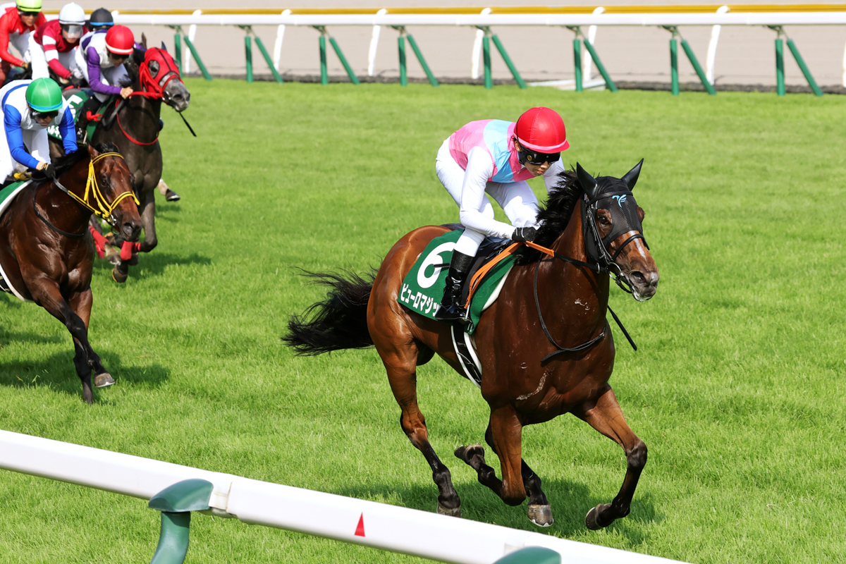 上り３ハロンを31秒７の出走馬最速タイムでまとめ、２着ロードトレイルに３馬身差を付けて鮮やかに逃げ切った