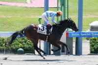 トラスティア