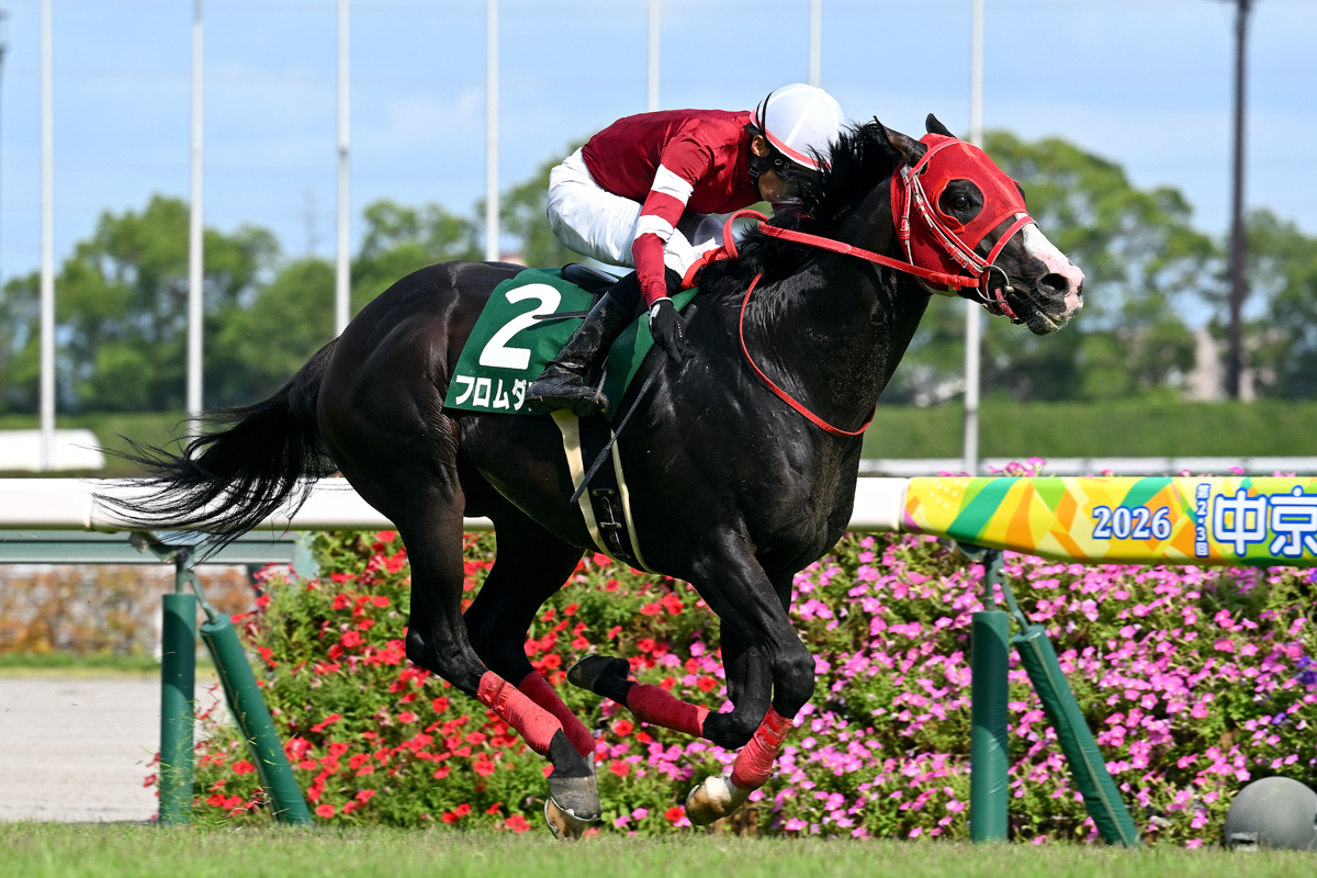 12番人気のフロムダスクが３番手を進み、２番人気のレイピアに２馬身差を付ける快勝だった