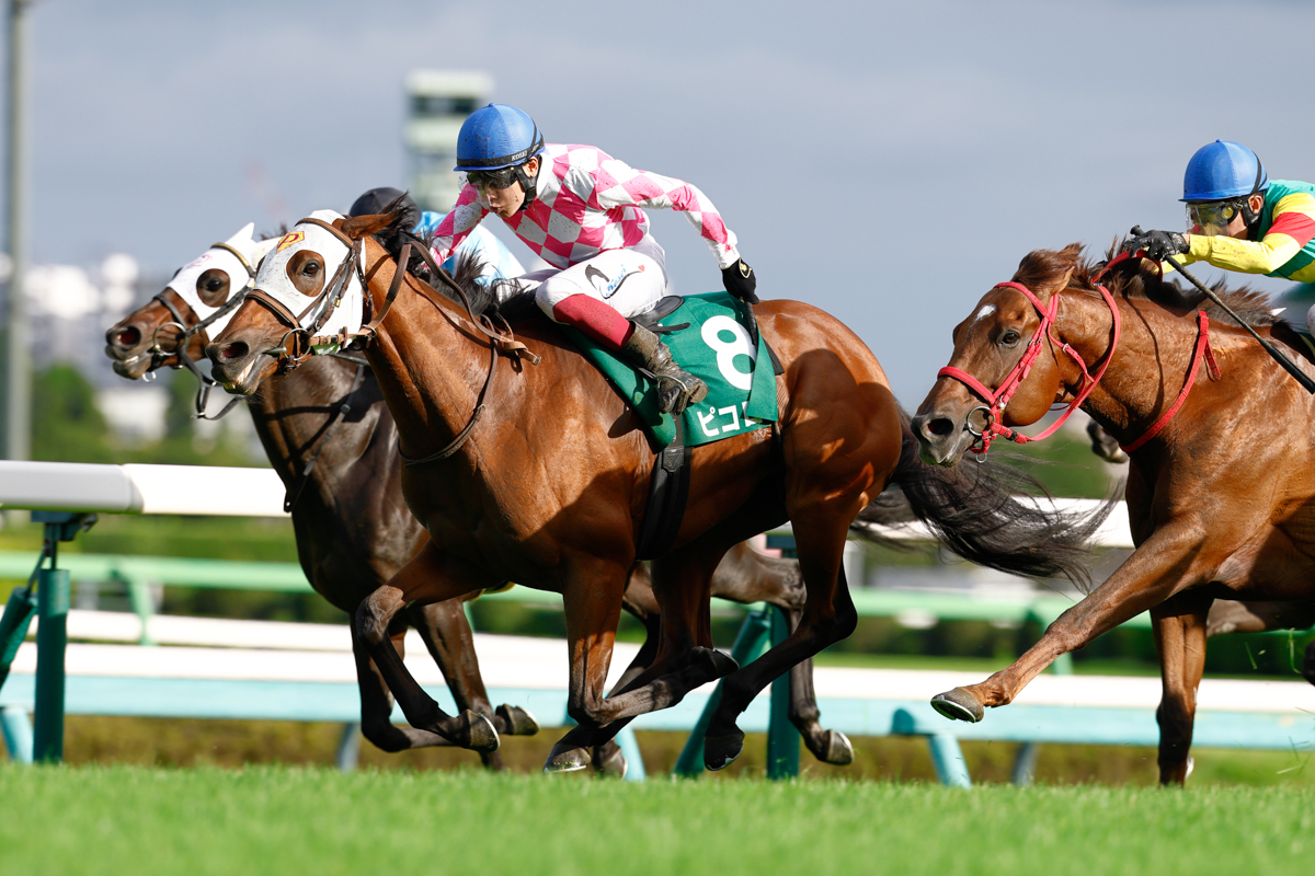 前走新潟日報賞(３勝クラス)を勝ったばかりのピコローズが７番手から馬群を割って鋭く抜け出した