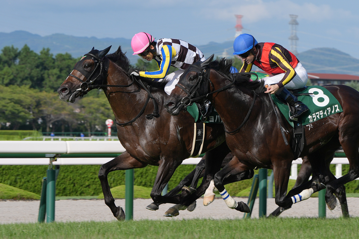 カラマティアノスとの競り合いをクビ差抑えて重賞初勝利。松山弘平騎手は３週連続重賞制覇