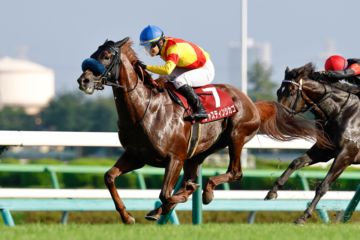 ６月の「１勝クラス」から連勝。ひと夏越して大きく成長した姿を披露したジャスティンシカゴ