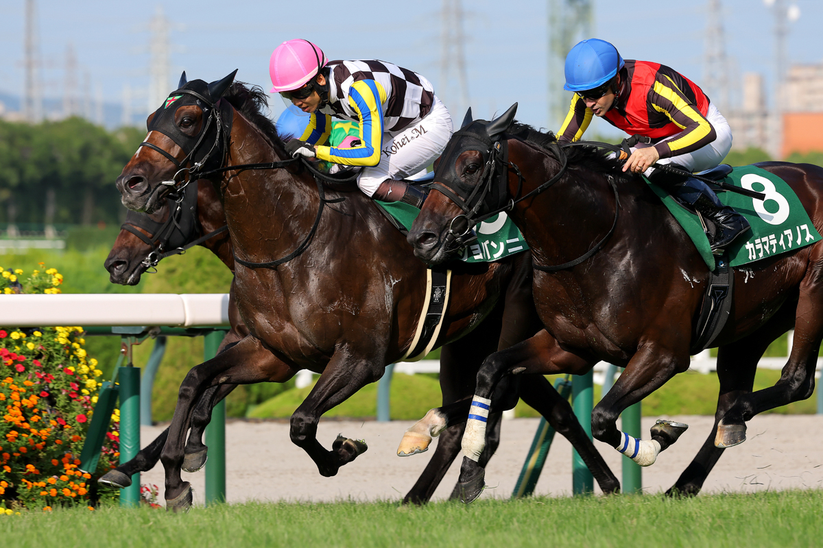 カラマティアノスとの競り合いをクビ差抑えて重賞初勝利。松山弘平騎手は３週連続重賞制覇