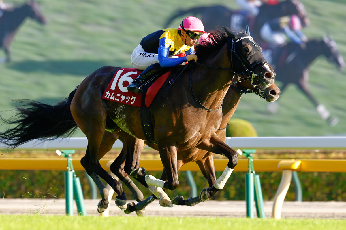 先に抜け出したジョスランを、力でねじ伏せたカムニャック。半馬身差だが着差以上の快勝だった