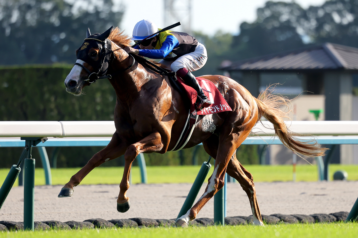 大外を追い込むスズハロームをハナ差抑えたダイヤモンドノット。芝1400ｍ戦は５戦４勝２着１回