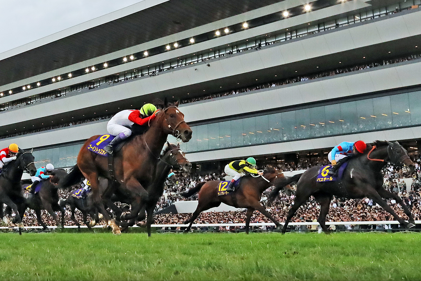 ダービー４着馬ゴーイントゥスカイがダービー３着馬バステールの猛追をハナ差退けた