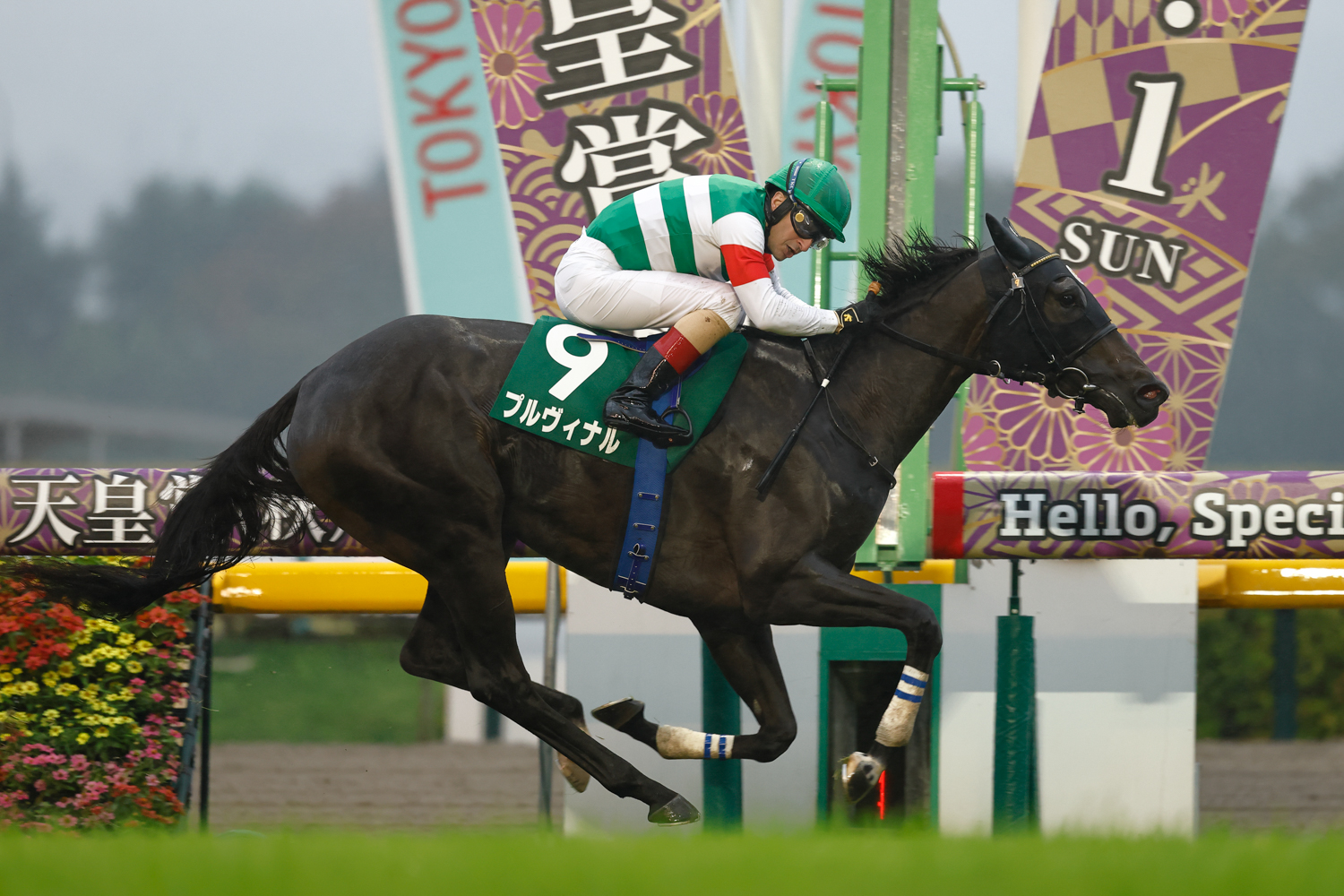 母は桜花賞２着、オークス３着のクルミナル。来年のクラシック候補に名乗りを上げた